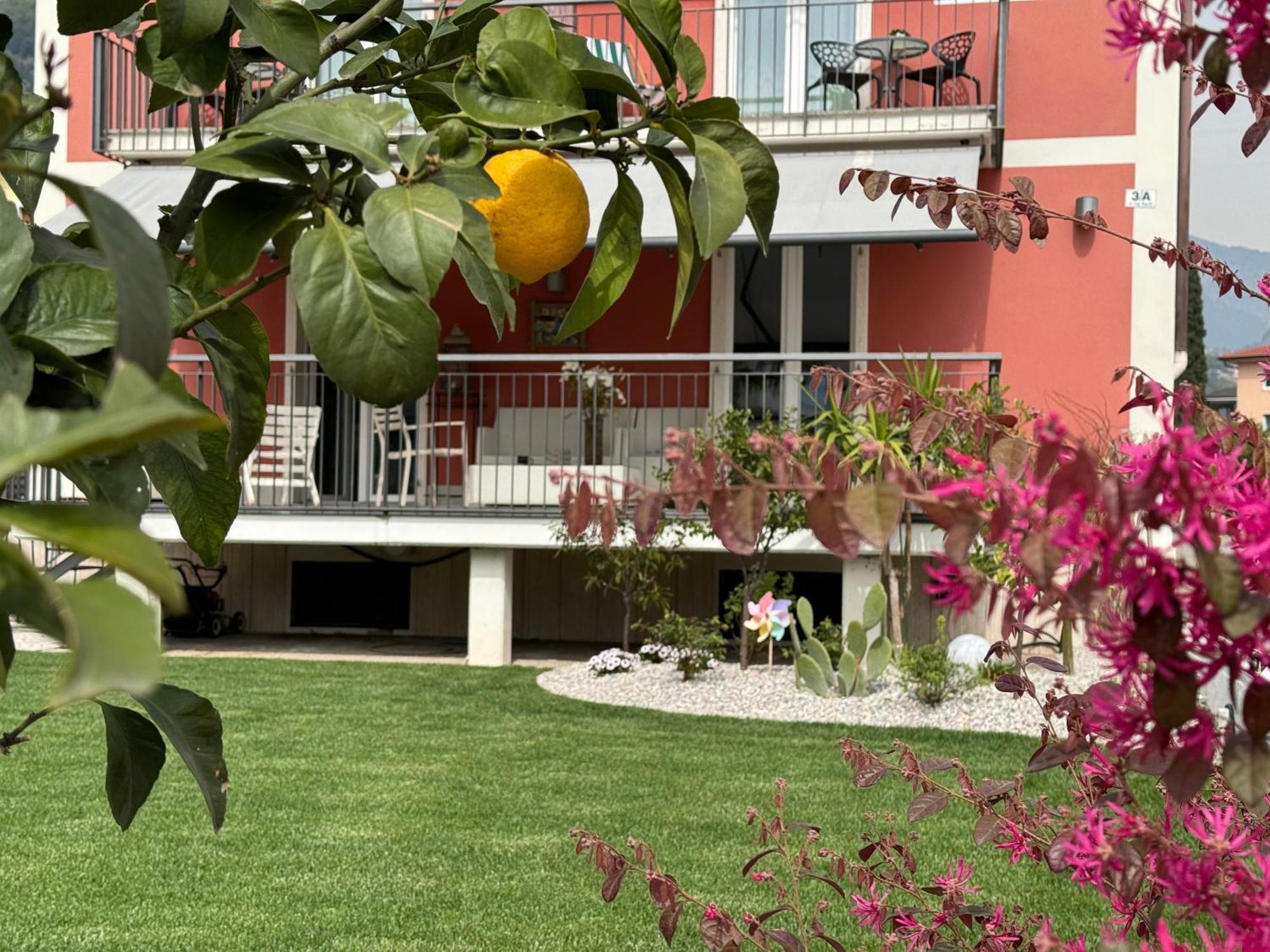 Sk Active Hotel - Ex Garni Hotello Рива-дель-Гарда Экстерьер фото